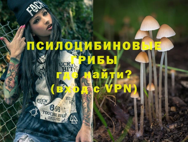 ешки Верхний Тагил